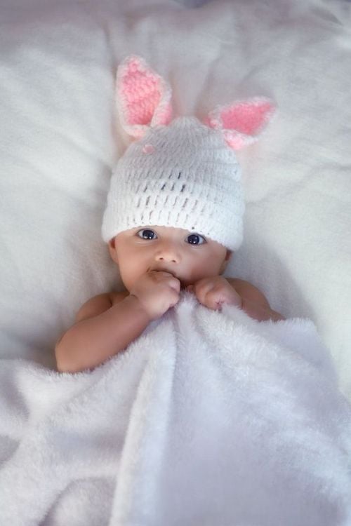 Beanies baby